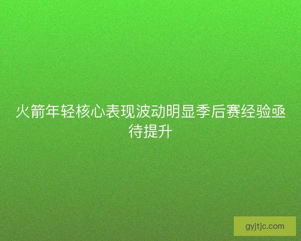 火箭年轻核心表现波动明显季后赛经验亟待提升