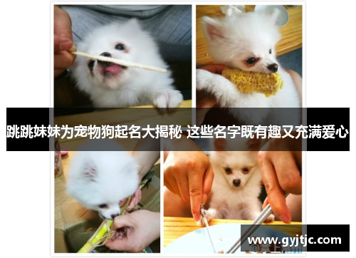跳跳妹妹为宠物狗起名大揭秘 这些名字既有趣又充满爱心