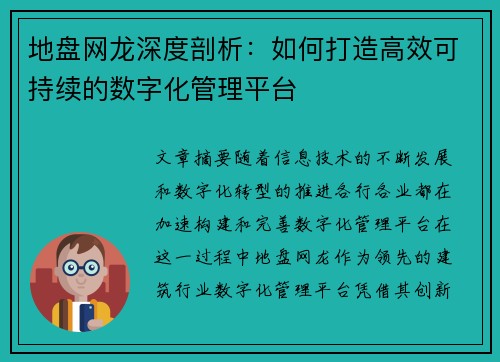 地盘网龙深度剖析：如何打造高效可持续的数字化管理平台