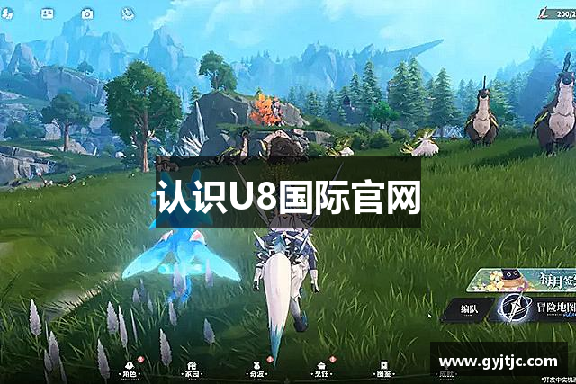 认识U8国际官网